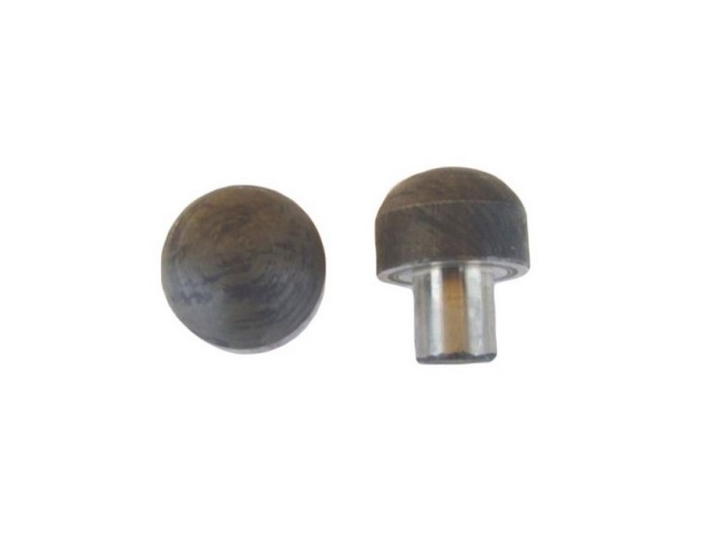 Halbachsstift - Pilz Tatra
