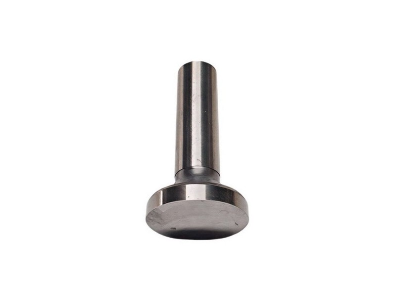 Valve tapped assembly Multicar M25