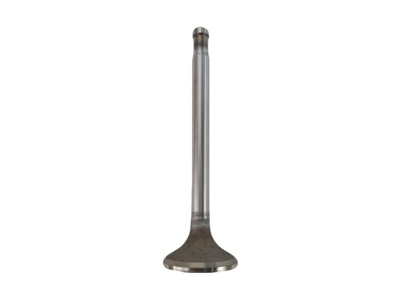 Exhaust valve PV3S