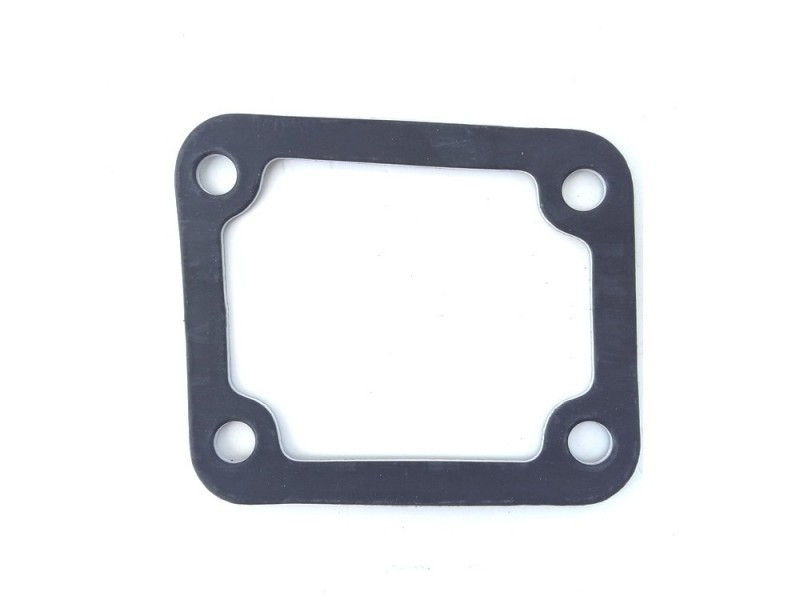 Dichtung Saugrohr EURO 2 Avia A60/75 + D421
