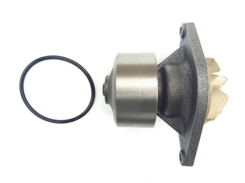Water pump Avia D60-120/E3-E5