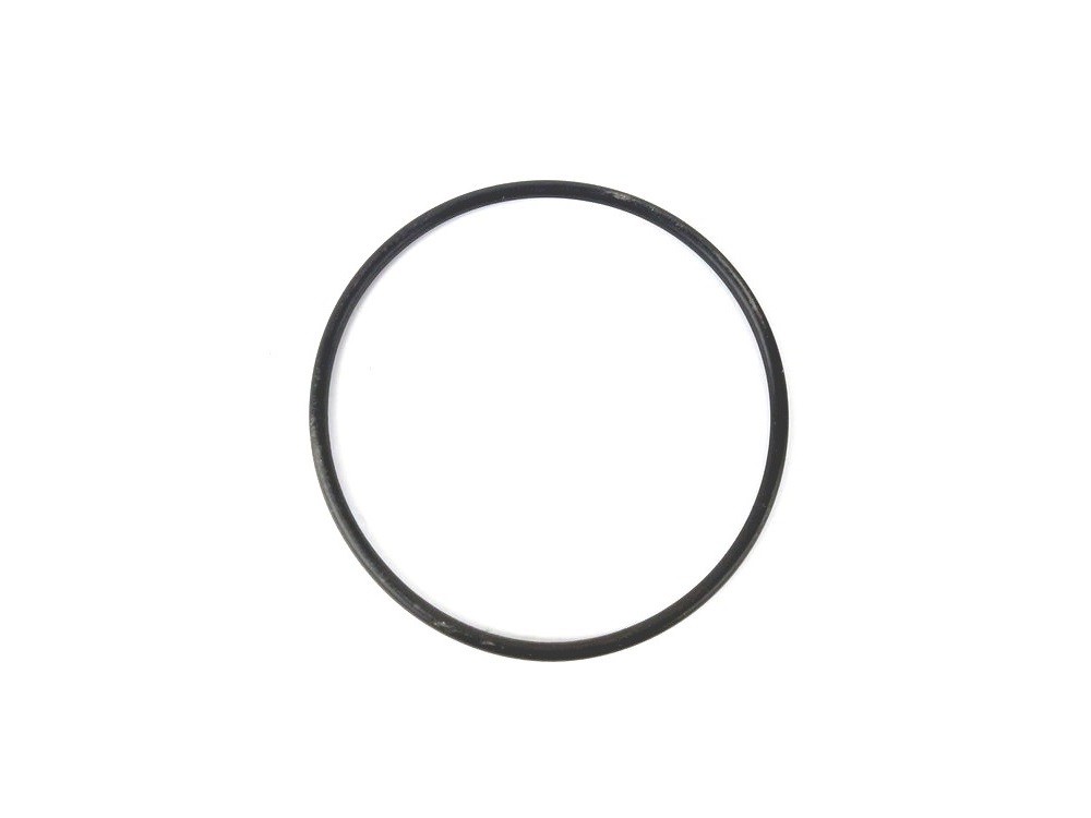 Sealing ring 74x3