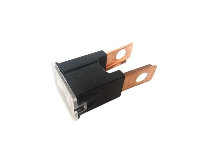 Fuse glow 80A Avia D100