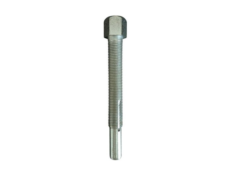 Spring cylinder adjusting screw Avia D75